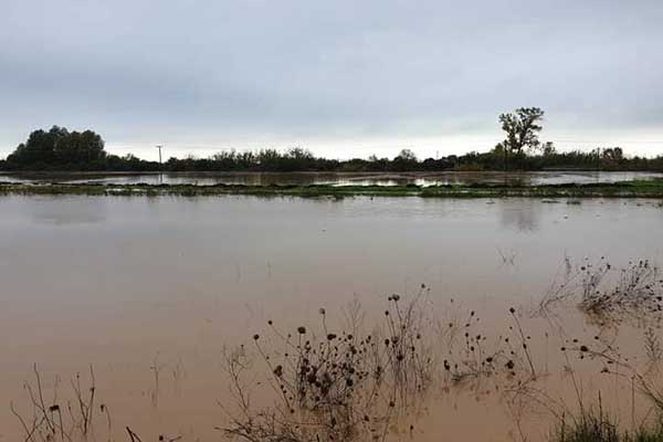 260338840 2976030819328549 2580144812708915731 n