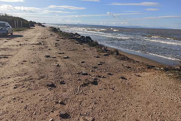 81171261 575598722988603 5989904649635758080 n