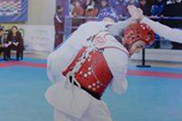 ΑΣ TaeKwonDo Πύργου ΠΕΛΟΨ: "Χάλκινος" ο Παναγιώτης Τσίγκλας στο Ανοιχτό Διασυλλογικό Πρωτάθλημα της Χαλκίδας [PHOTOS]