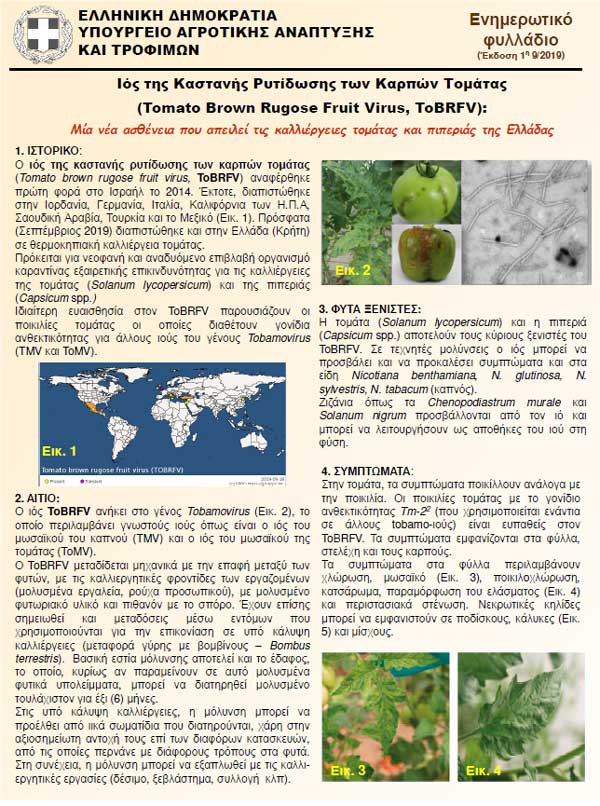 ntom1---Αντιγραφή