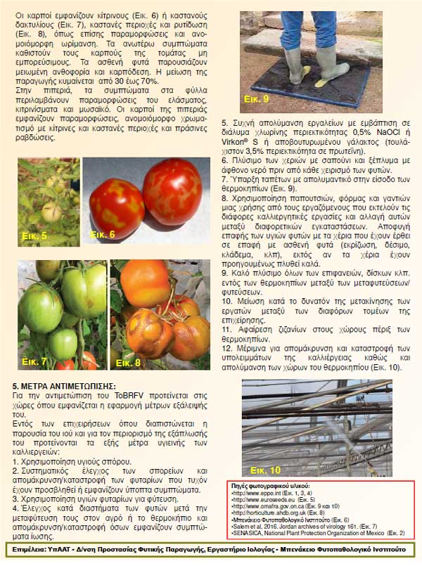 ntom2---Αντιγραφή