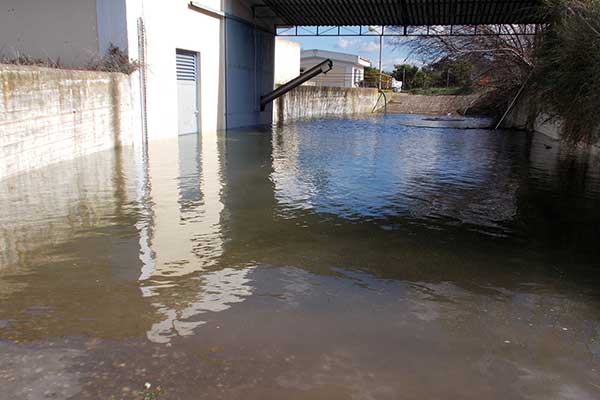 viologikos-olympia-1