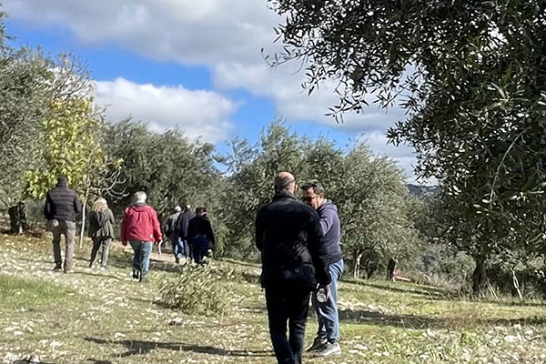 IMG 3f13a795dd042ac3eee6c021fedfae10 V