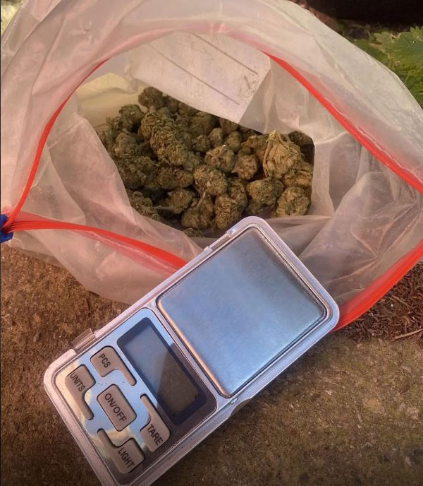 e2 252863 447944 type13260