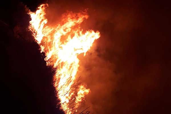 224116941 4471970926147965 7265707238868931184 n