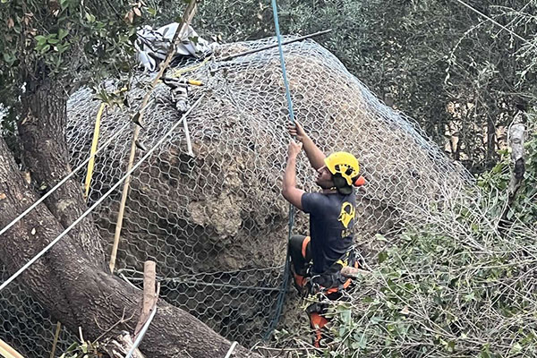 642874559 122255467220177802 230228658098909424 n