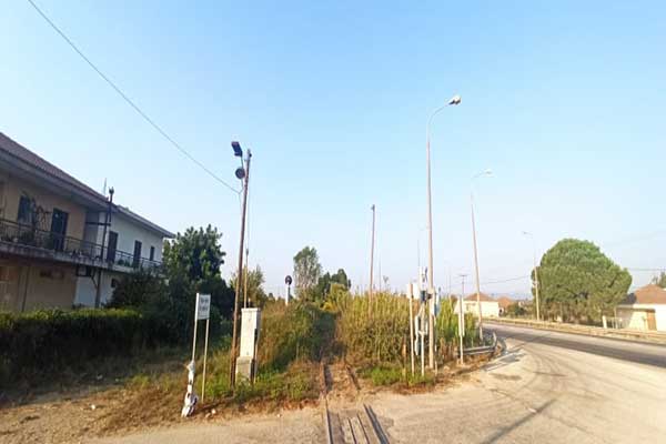 235171812 567774904405645 3847587289310868630 n