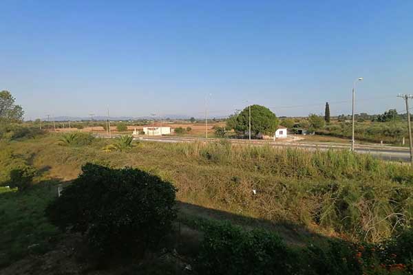 239137604 1132785910546984 1734792076506607875 n