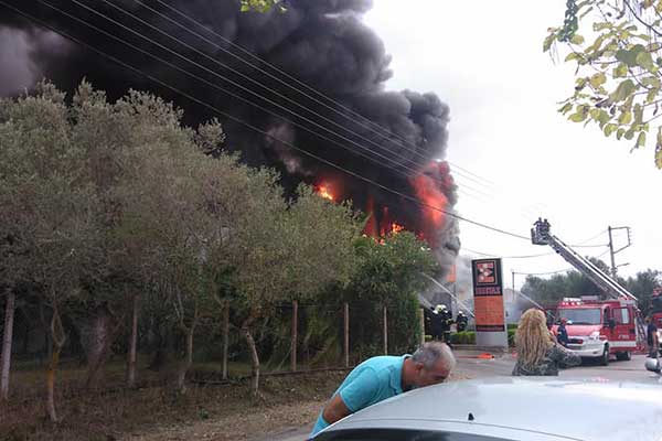 120390360 10220356013763090 262910349471758148 n