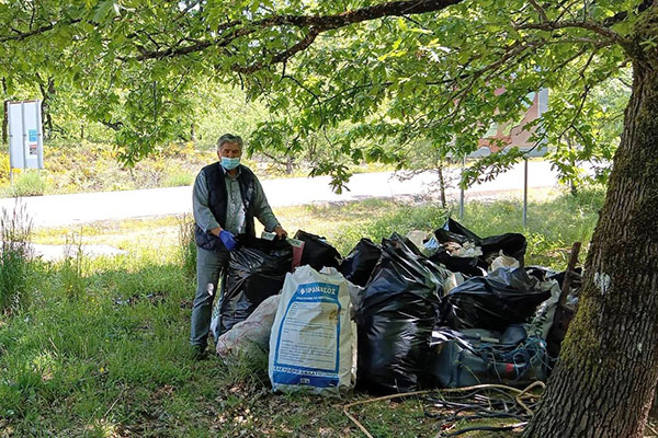 2 KATHARISMOS DASOS KAPELHS