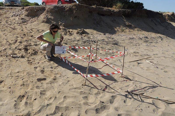 Φ.Δ.Κοτυχίου Στροφυλιάς: Έκκληση προς τις αρμόδιες αρχές για την χρηματοδότηση του φετινού προγράμματος για την caretta-caretta - Δείτε το συγκινητικό βίντεο