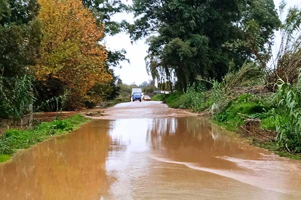 263407160 2980978165500481 5940065337910596317 n