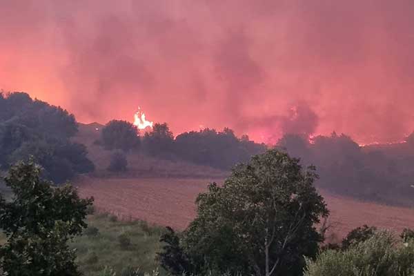 291707044 746002349881530 1554335915131721361 n