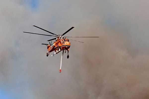 291875000 3139845169613779 2062299389058481622 n