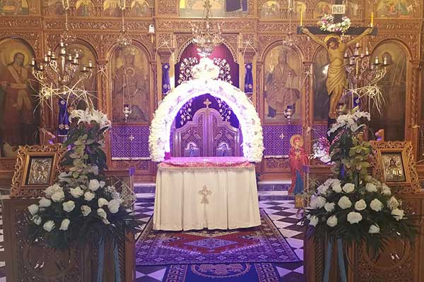 agiosspyridonas purgou