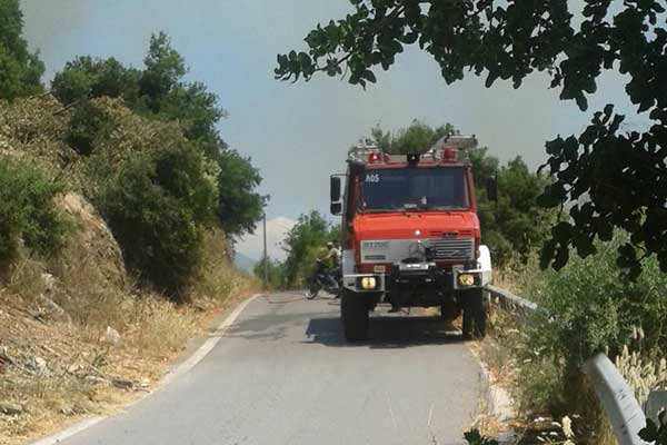 65307802 421744908421139 691622320296427520 n