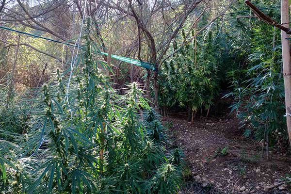 30082022hleianarkot003