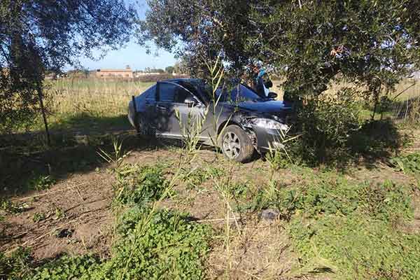 84237742 2474623926135910 8916813858429992960 n