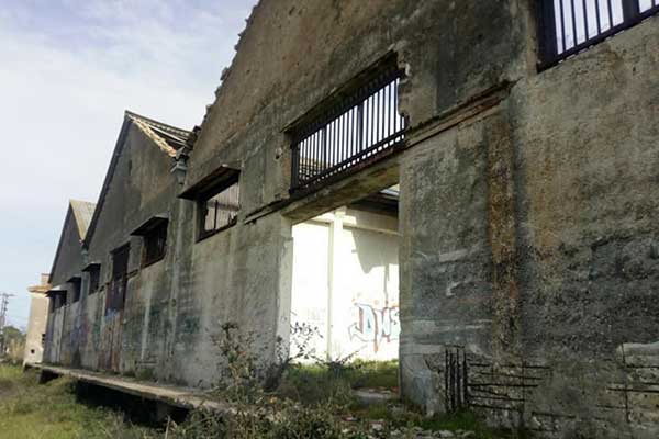 143779710 455623095824507 4787939961851472760 n