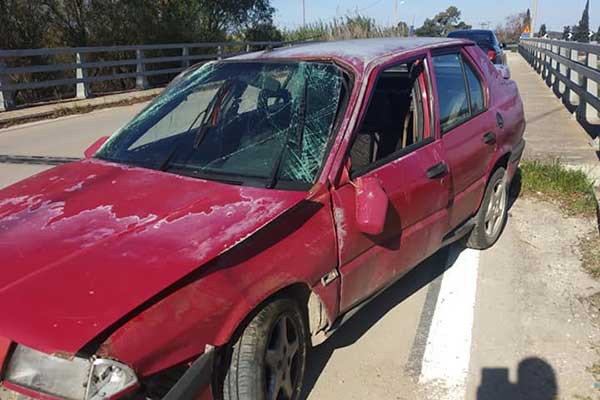 81453957 2446786195586350 7269967670219374592 n