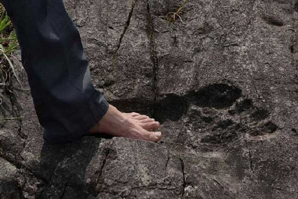 Ανακάλυψαν ένα από τα μεγαλύτερα αποτυπώματα δεινοσαύρου στον κόσμο