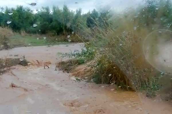 72083798 2366547356943568 2111122515001606144 n