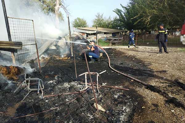 120746968 2670780736520227 7071205030651651195 n