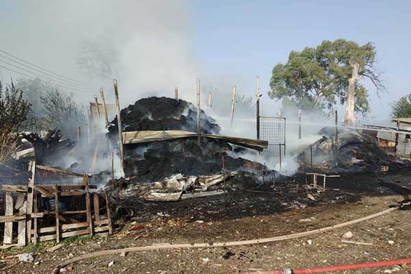 120820177 2670780679853566 2102422620948804861 n