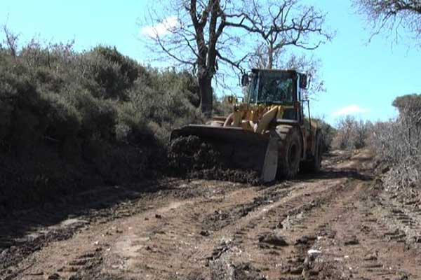 56173304 416186662285958 8584707973283053568 n