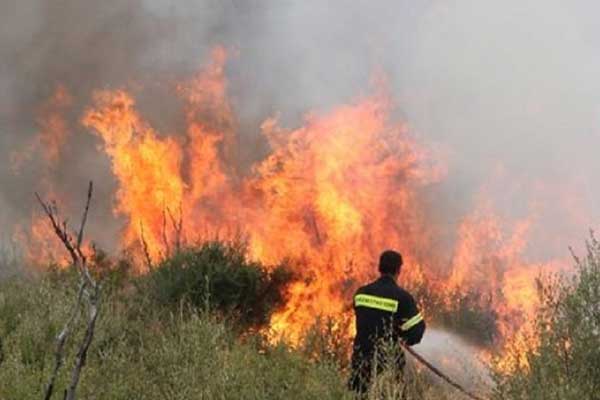 Γιάννης Κουτσούκος: «Η Ηλεία χρήζει πυροπροστασίας»