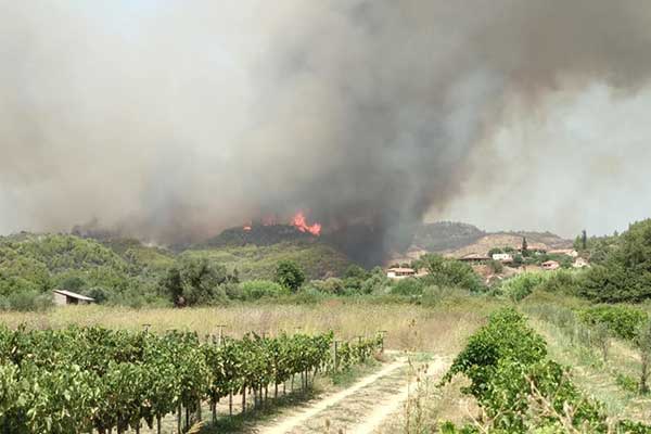 225241358 4253541684683054 6623065297047887843 n