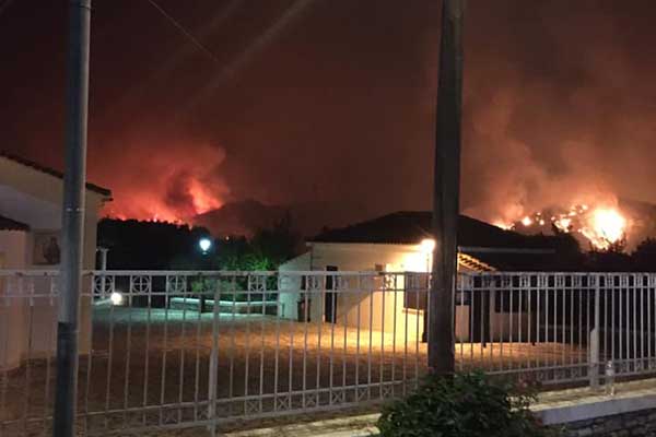 227814224 1625003471028663 6011934743358354358 n