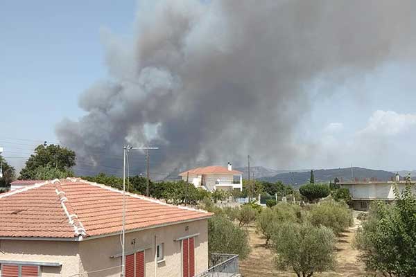 228526574 2952885771706140 6148927965547599159 n