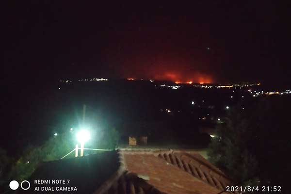 231370171 4323565824332712 2844248861819085020 n