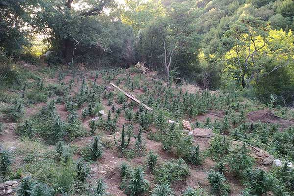 04082022fyteiesdytellada005