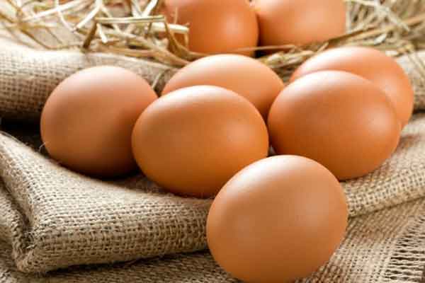 Η ανακοίνωση του ΕΦΕΤ για τα μολυσμένα αυγά από fipronil στην Ελλάδα