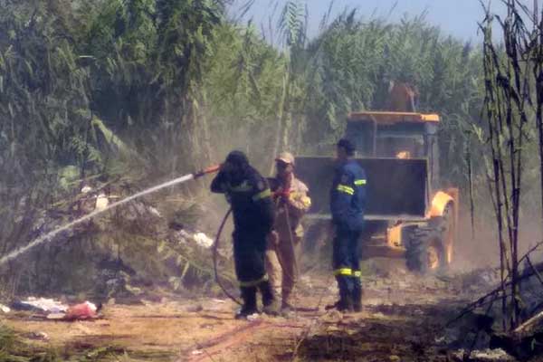 118825291 3283181181762277 4561862977702855215 n