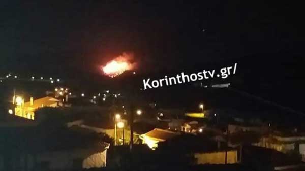 aa 252863 223476 type13260