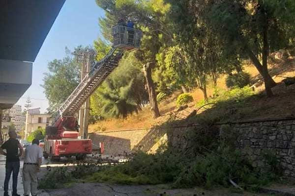 241405486 404412518065696 6038542307529030723 n