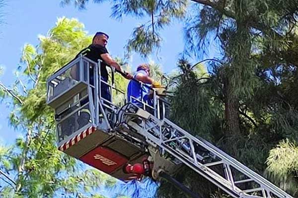 241459987 404411298065818 6192595342635576168 n