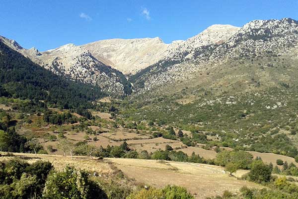 Μήνυμα της «Οικολογικής Δυτικής Ελλάδας» για την Παγκόσμια Ημέρα Περιβάλλοντος - «Μόνη οδός η βιωσιμότητα!»