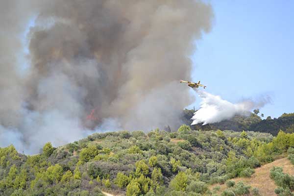 227853487 10222849166210343 3399886788186914517 n