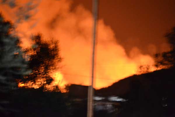 229647560 10222849940909710 5573035637324256945 n