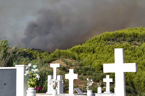 231161048 10222849169410423 4890497059142217129 n