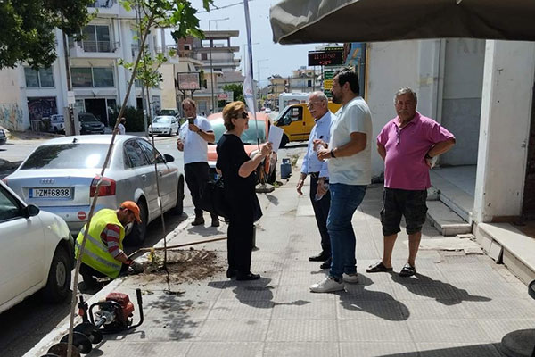 447425736 122150873930177802 7995480242784049434 n