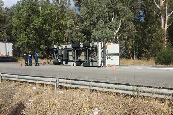 117117491 2621297644801870 3752779589895506467 n