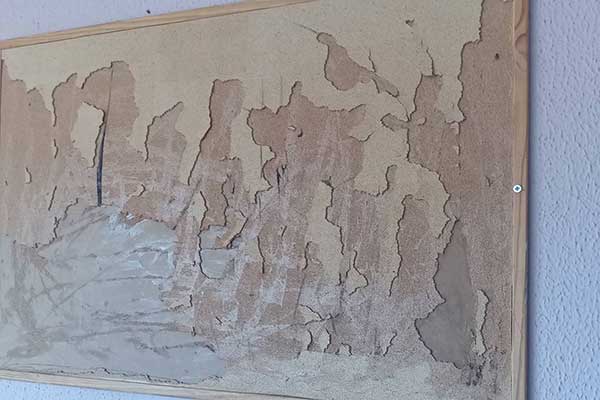 313417120 565336432260426 5263601088484790266 n