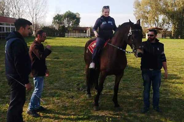 avgerinopoulou ipasia 2