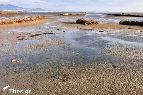 limnothalassa-kalohoriou3