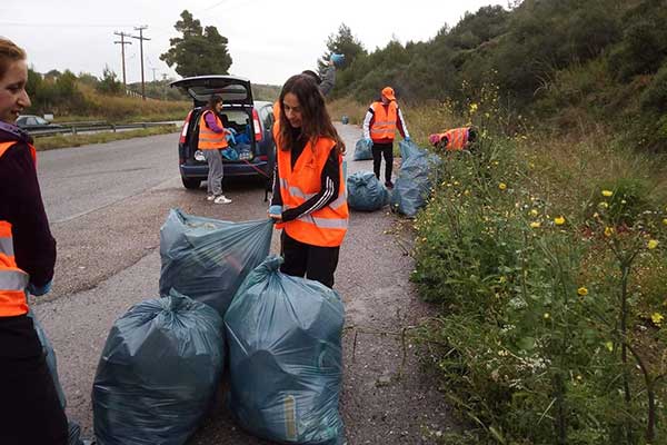 56742465 2340406105978096 6592735053732642816 o